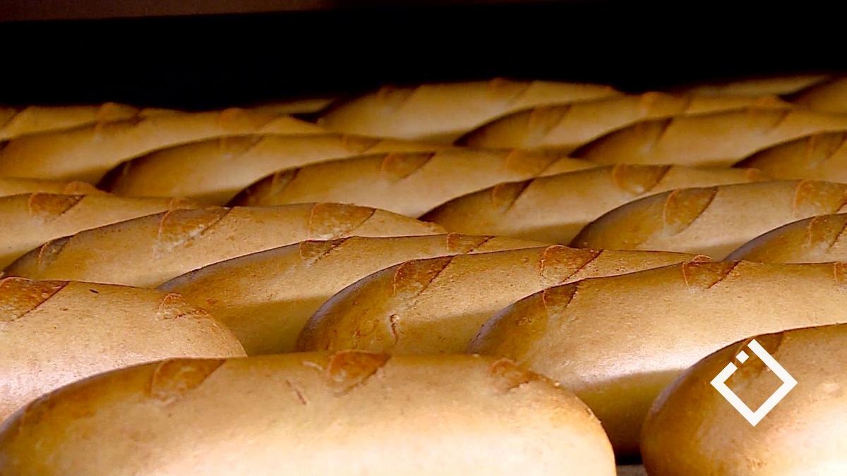 ერთი თვის განმავლობაში პური არ გაძვირდება - პურის მწარმოებელთა კავშირი