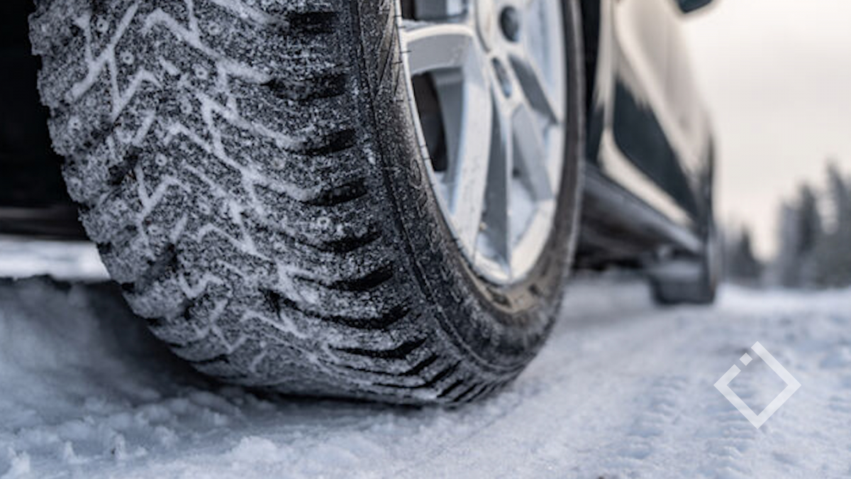 Nokian Nordman 8 205 55 R16 Купить