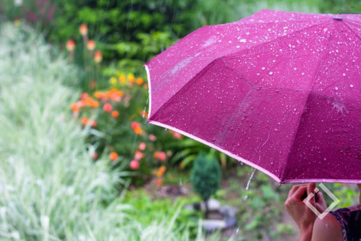 Весенний зонтик. Зонт фиолетовый. Фиолетовый цветок зонтиком. Зонтик с капельками женские.