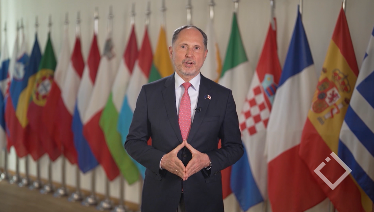 ევროკავშირის ელჩის განცხადება - შეფასებები